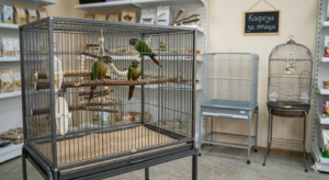 Клека за птици