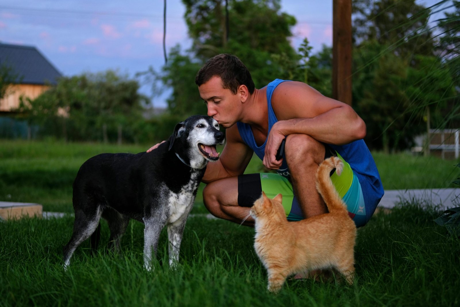 A man crouches in a garden kissing his dog while a cat looks on. Outdoor scene with natural lighting.